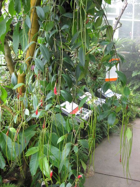 File:IMG 1835 hunt09oct.jpg