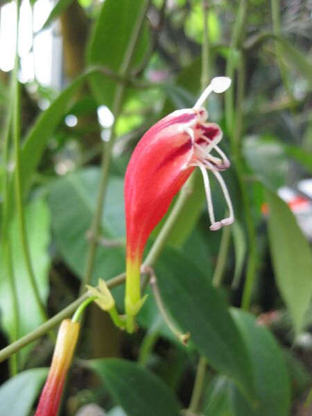 File:IMG 1836 hunt09oct.jpg