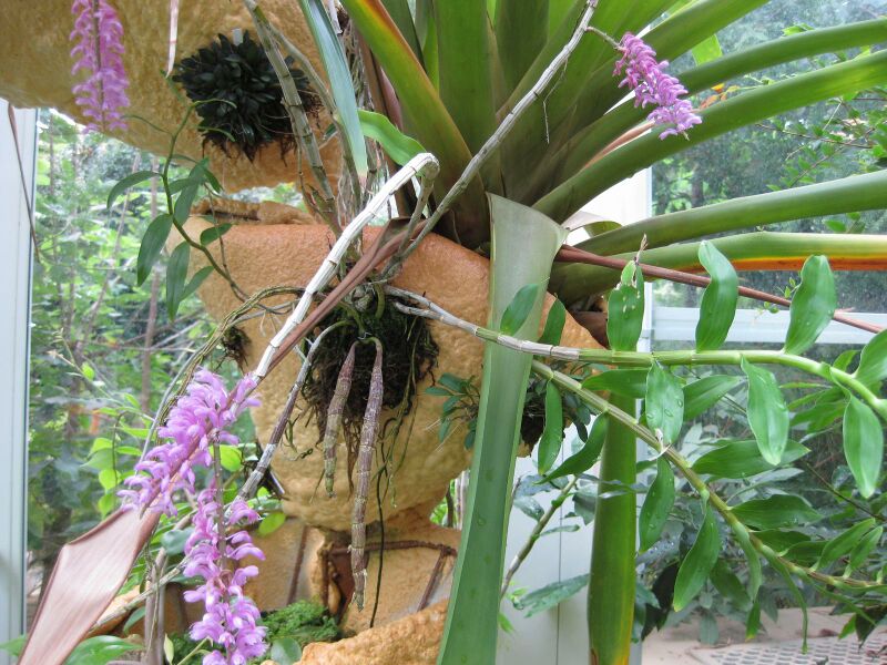 File:IMG 1837 hunt09oct.jpg