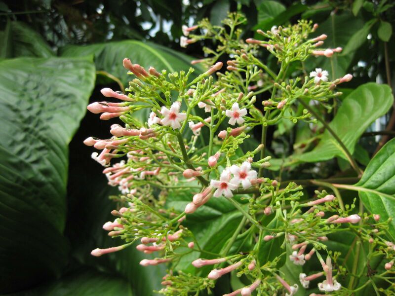 File:IMG 1841 hunt09oct.jpg