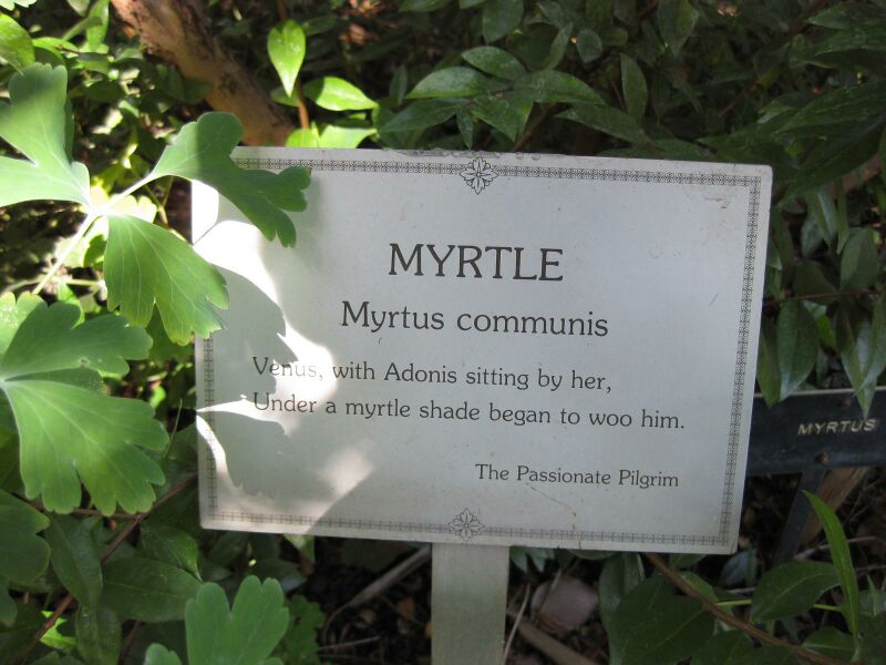 File:IMG 1845 hunt09oct.jpg