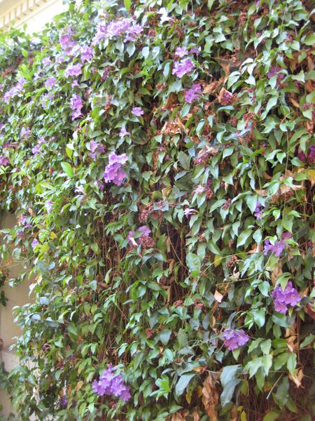 File:IMG 1847 hunt09oct.jpg