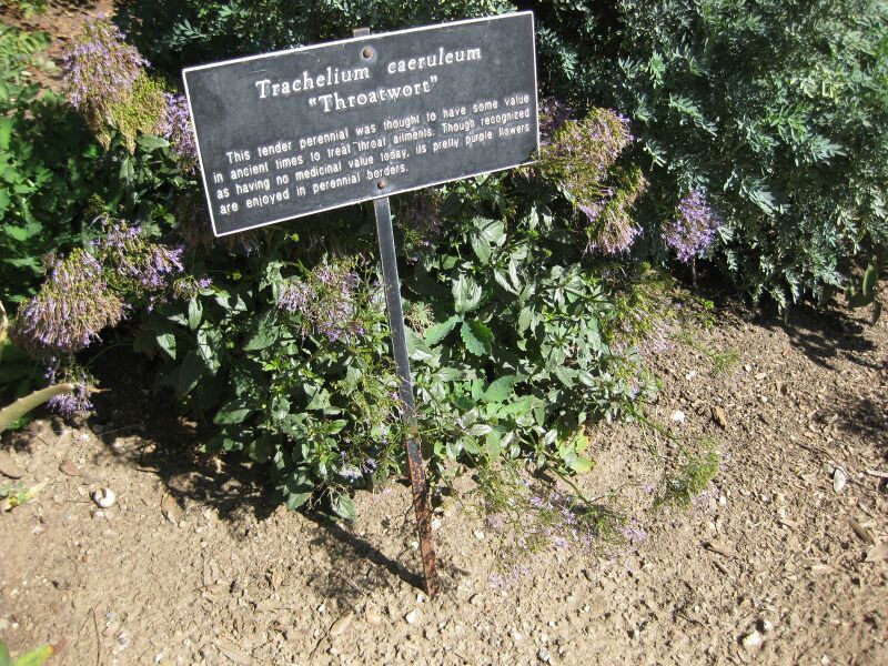 File:IMG 1849 hunt09oct.jpg