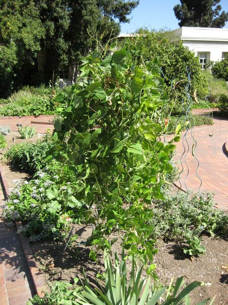 File:IMG 1852 hunt09oct.jpg