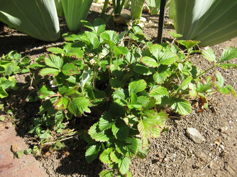 File:IMG 1855 hunt09oct.jpg