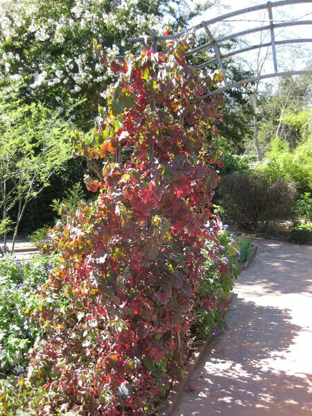 File:IMG 1859 hunt09oct.jpg