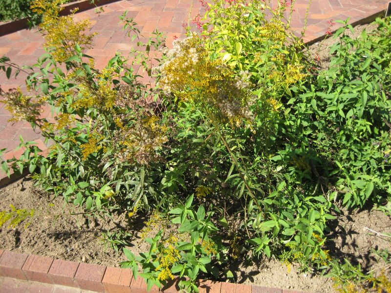 File:IMG 1862 hunt09oct.jpg