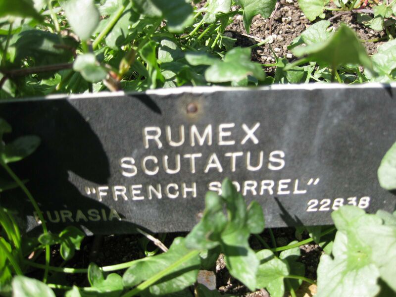 File:IMG 1871 hunt09oct.jpg