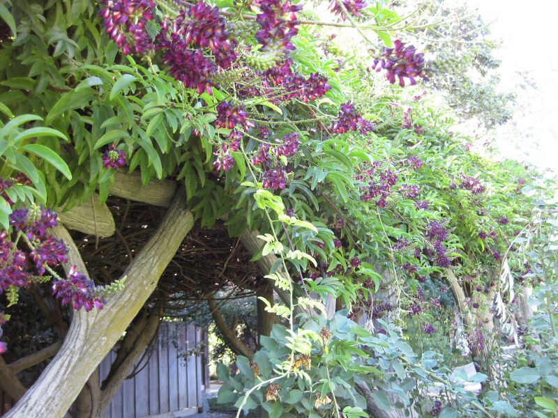 File:IMG 1872 hunt09oct.jpg