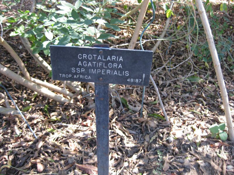 File:IMG 1878 hunt09oct.jpg