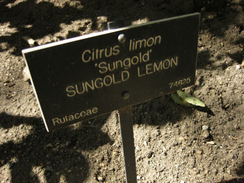 File:IMG 1881 hunt09oct.jpg