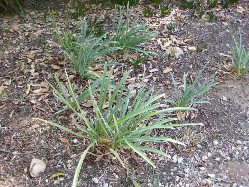 File:IMG 1882 hunt09oct.jpg