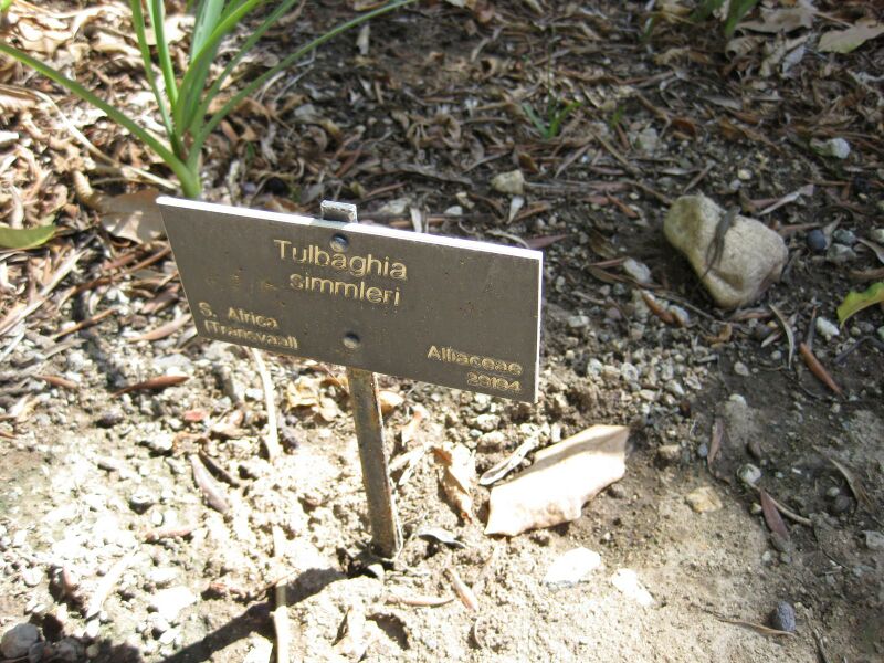 File:IMG 1883 hunt09oct.jpg