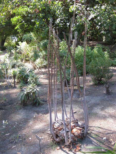 File:IMG 1884 hunt09oct.jpg