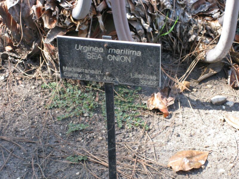 File:IMG 1885 hunt09oct.jpg