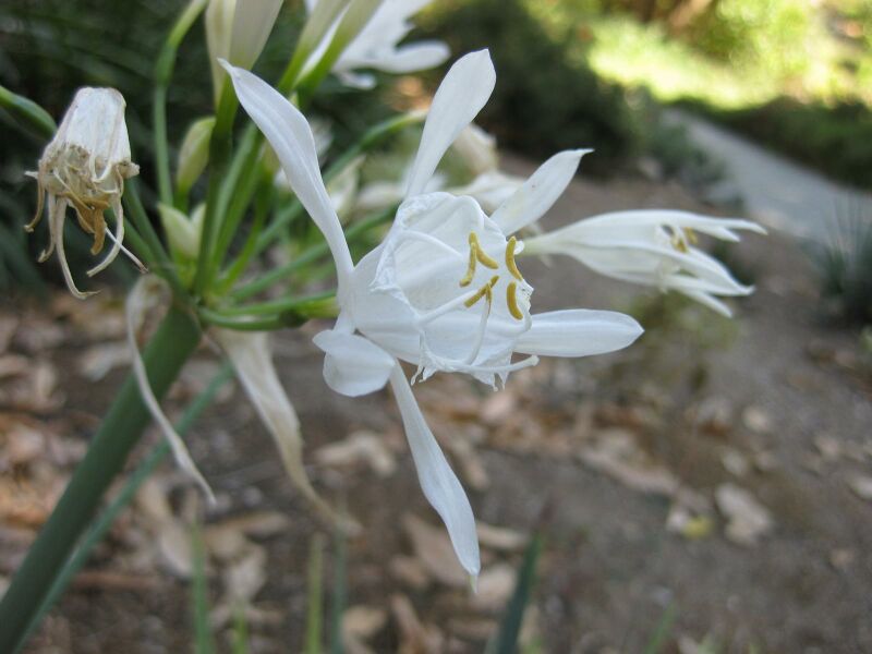 File:IMG 1891 hunt09oct.jpg