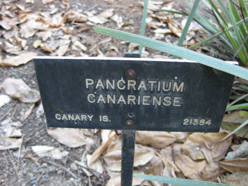 File:IMG 1892 hunt09oct.jpg