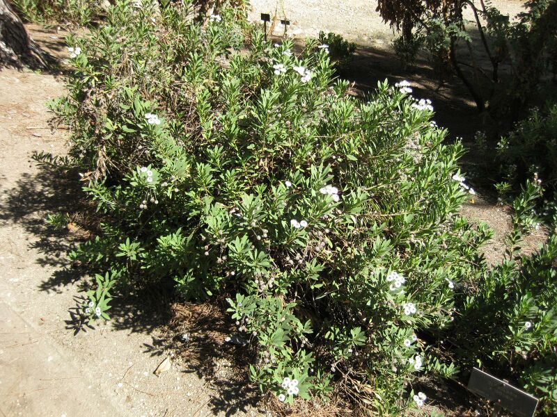 File:IMG 1895 hunt09oct.jpg