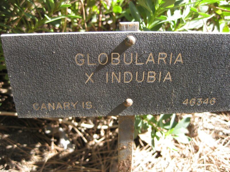 File:IMG 1898 hunt09oct.jpg