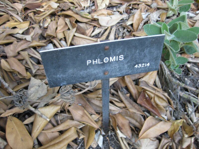 File:IMG 1903 hunt09oct.jpg