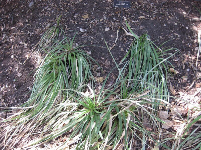 File:IMG 1904 hunt09oct.jpg