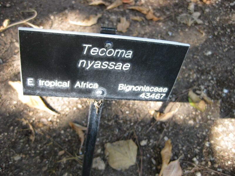 File:IMG 1914 hunt09oct.jpg