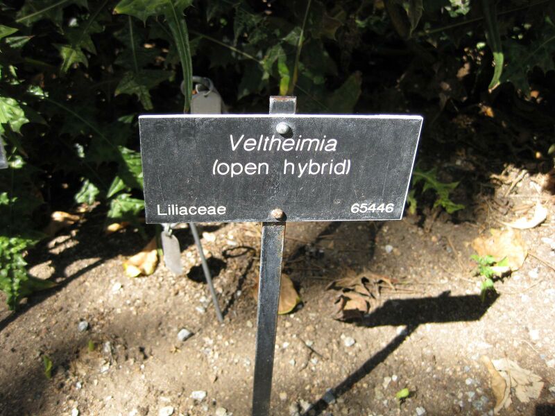 File:IMG 1916 hunt09oct.jpg