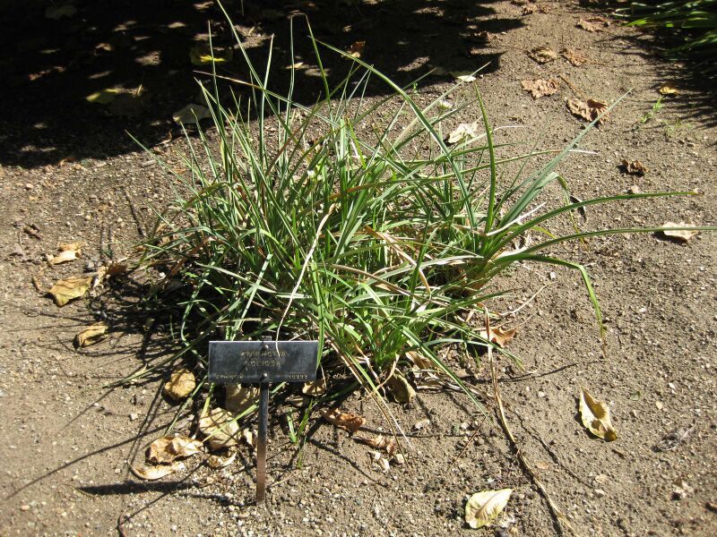 File:IMG 1917 hunt09oct.jpg