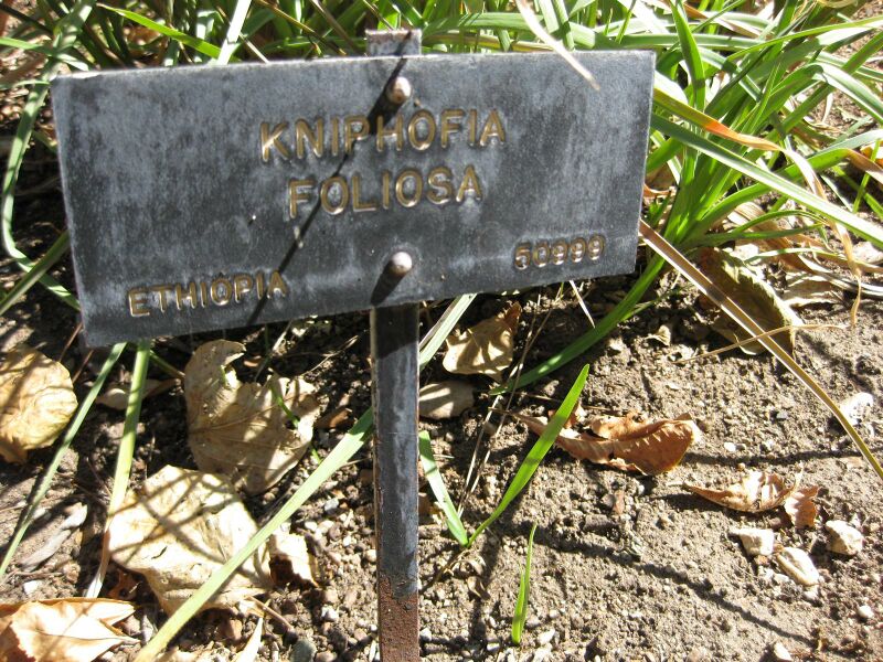 File:IMG 1918 hunt09oct.jpg