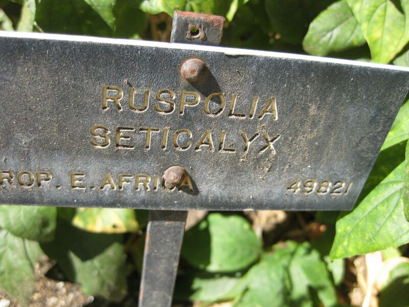 File:IMG 1922 hunt09oct.jpg