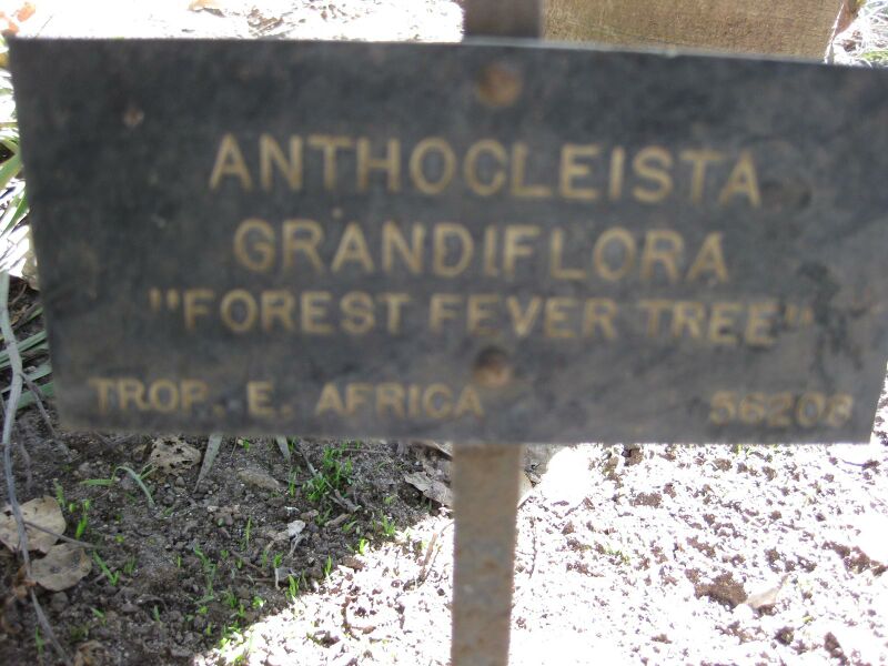 File:IMG 1928 hunt09oct.jpg