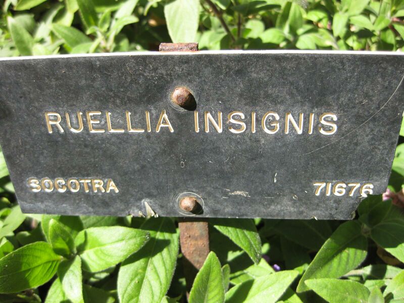 File:IMG 1931 hunt09oct.jpg