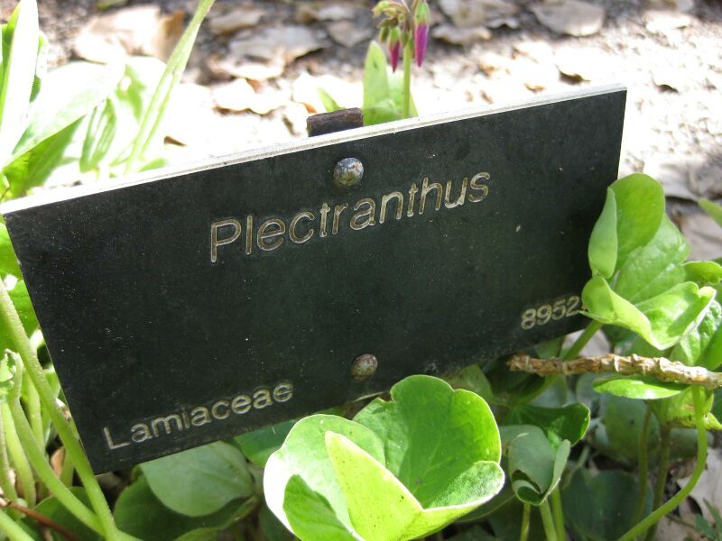 File:IMG 1934 hunt09oct.jpg