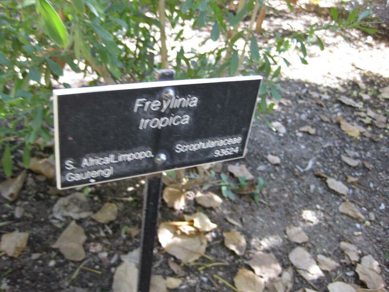 File:IMG 1937 hunt09oct.jpg