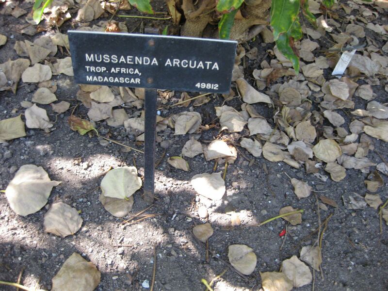 File:IMG 1942 hunt09oct.jpg