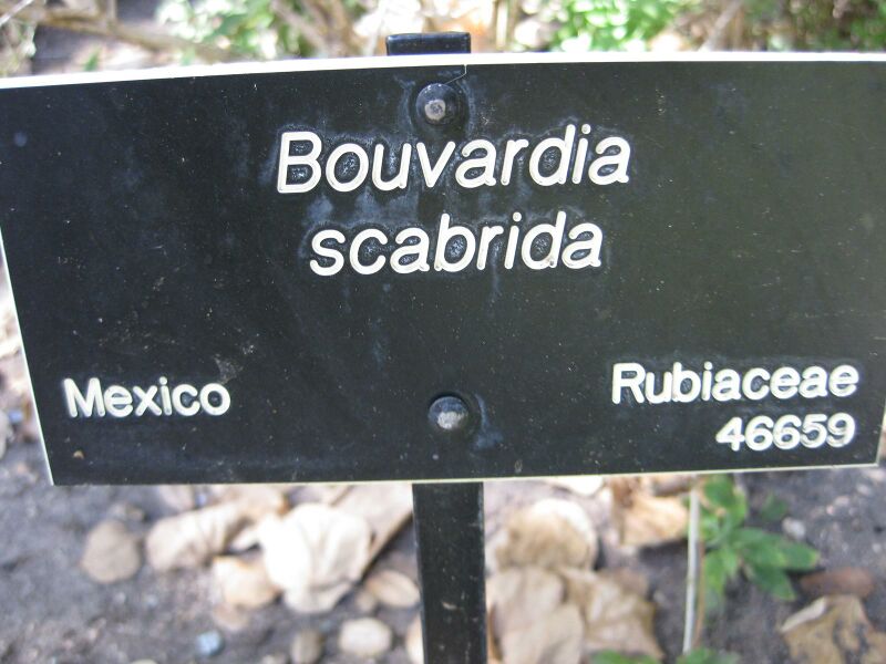 File:IMG 1946 hunt09oct.jpg