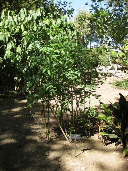 File:IMG 1949 hunt09oct.jpg