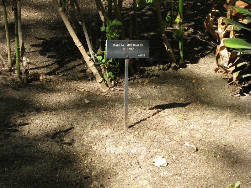 File:IMG 1950 hunt09oct.jpg