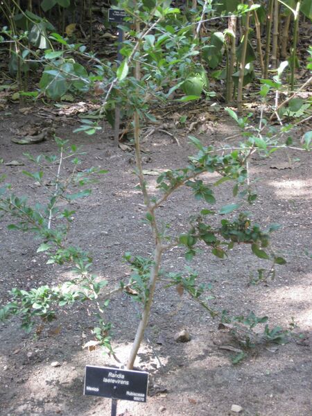 File:IMG 1951 hunt09oct.jpg