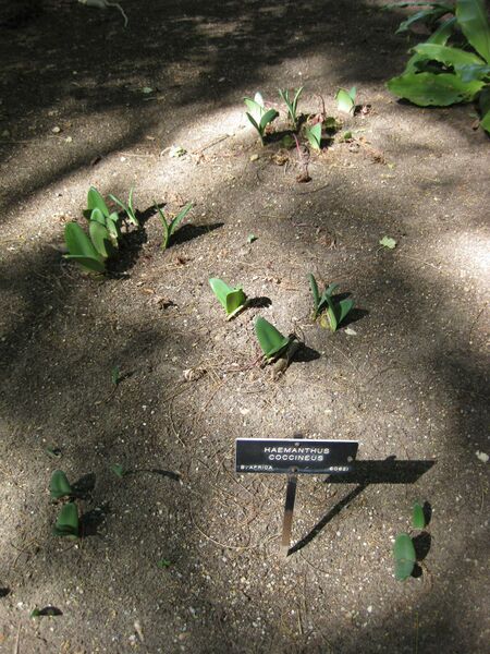 File:IMG 1952 hunt09oct.jpg