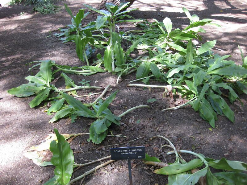 File:IMG 1953 hunt09oct.jpg