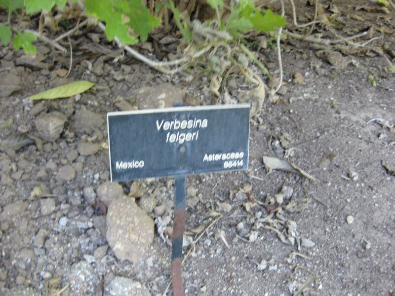 File:IMG 1957 hunt09oct.jpg