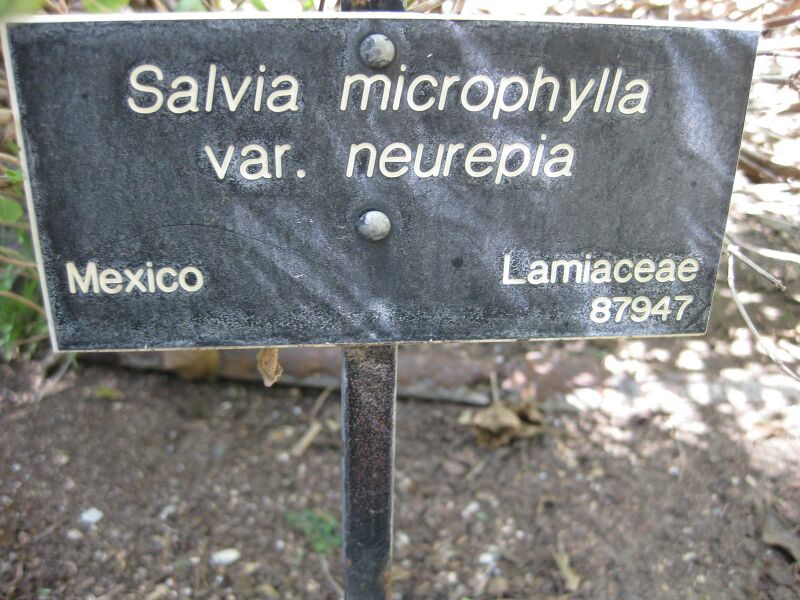 File:IMG 1960 hunt09oct.jpg