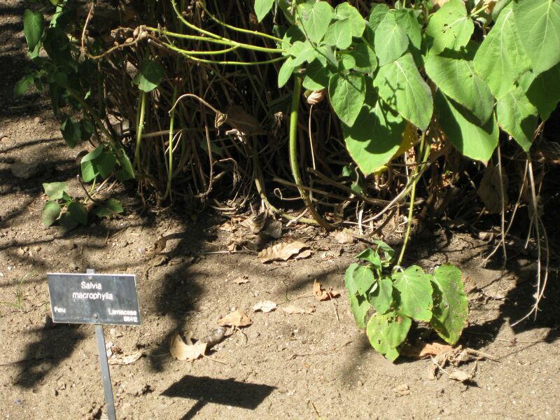 File:IMG 1963 hunt09oct.jpg