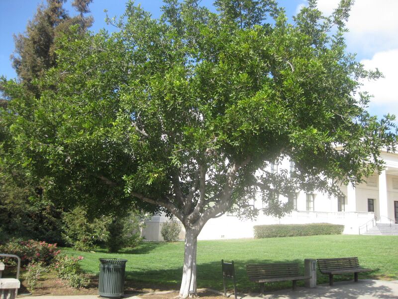 File:IMG 1964 hunt0903.jpg