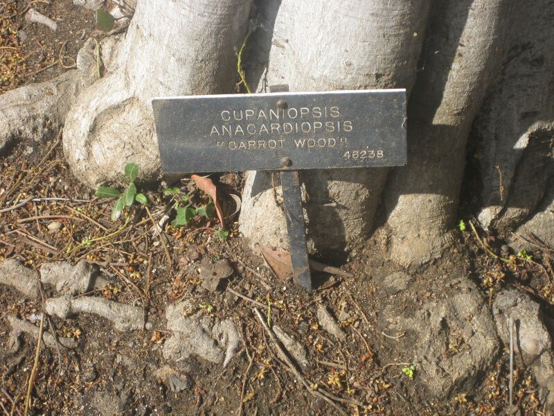 File:IMG 1966 hunt0903.jpg