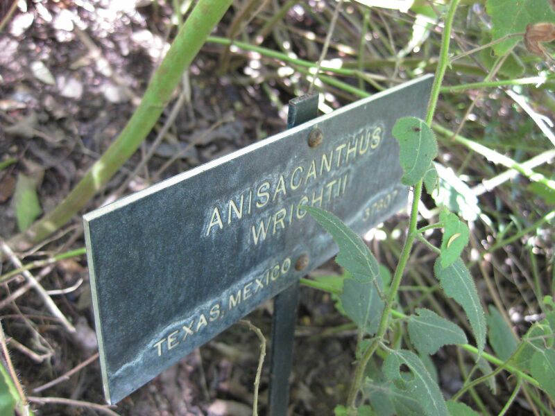 File:IMG 1972 hunt09oct.jpg