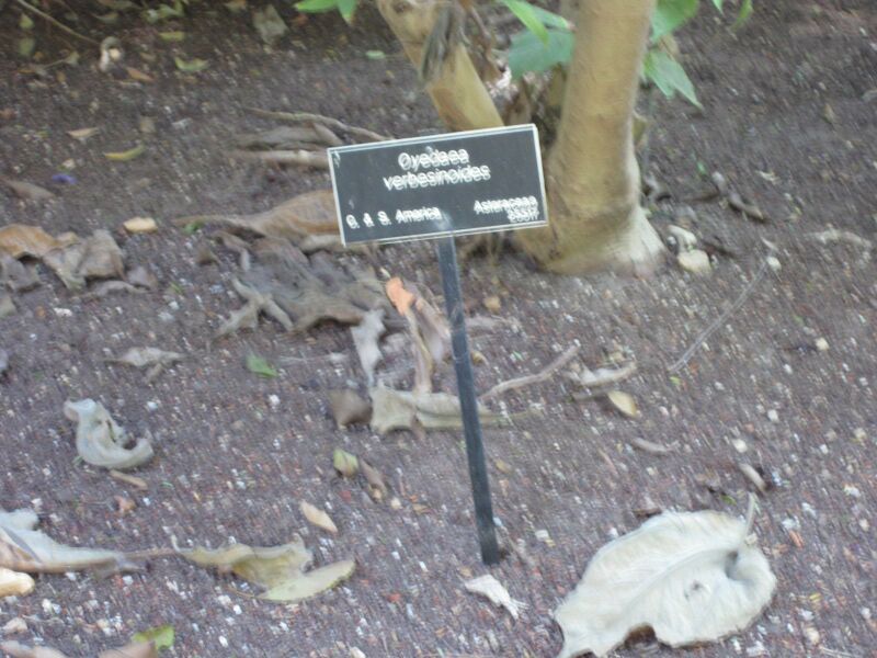 File:IMG 1974 hunt09oct.jpg