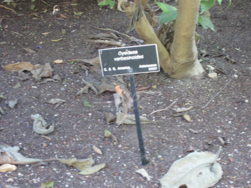 File:IMG 1975 hunt09oct.jpg