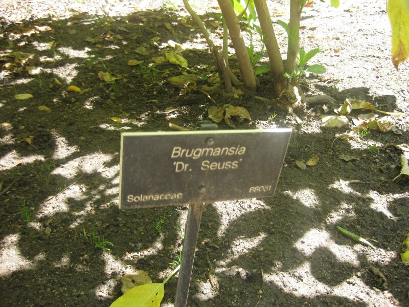 File:IMG 1976 hunt0903.jpg